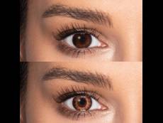 TopVue Color daily - Brown - su dioptrijomis (10 lęšių)