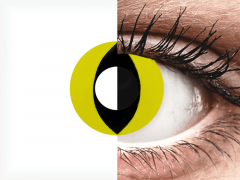 CRAZY LENS - Cat Eye Yellow - vienadieniai be dioptrijų (2 lęšiai)