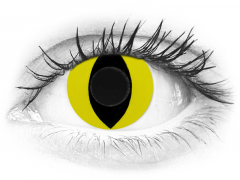 CRAZY LENS - Cat Eye Yellow - vienadieniai be dioptrijų (2 lęšiai)